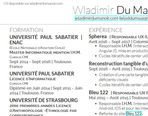 Wladimir's Resume